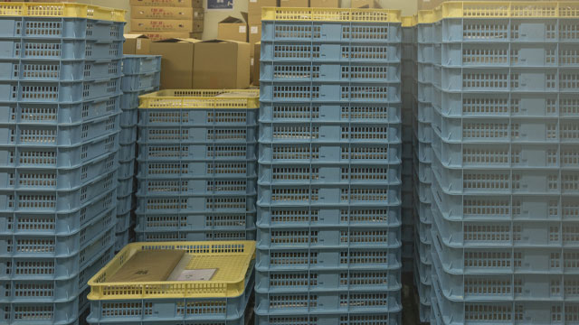 できたカエシがずらりと並びます。